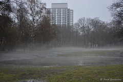 Volkspark Wilmersdorf mit Nebel