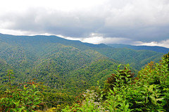 National Park- Great Smoky Mountains 