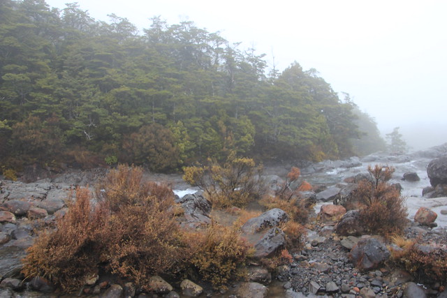 Nueva Zelanda, Aotearoa: El viaje de mi vida por la Tierra Media - Blogs de Nueva Zelanda - Día 9 - 8/10/15 - Tongariro National Park, Mangawhero Falls y Gravity Canyon (17)