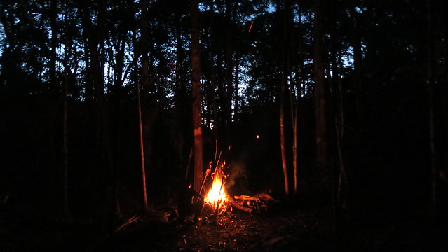 camp fire amazon tupana rainforest
