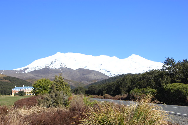 Nueva Zelanda, Aotearoa: El viaje de mi vida por la Tierra Media - Blogs de Nueva Zelanda - Día 8 - 7/10/15 - Piopio y Tongariro National Park (53)
