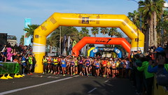 Gran Canaria Maratón 2016 Las Palmas de Gran Canaria (24/01/2016)