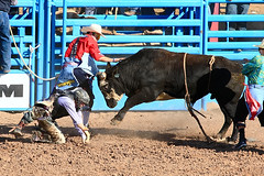 Tucson Rodeo 2016