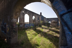 the ruins