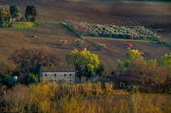 Paesaggio Rurale / Campagna