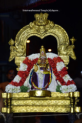 Srinivasa Perumal Temple