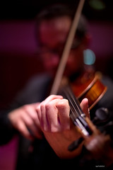 Concert Flash Strings, Quatuor Tana
