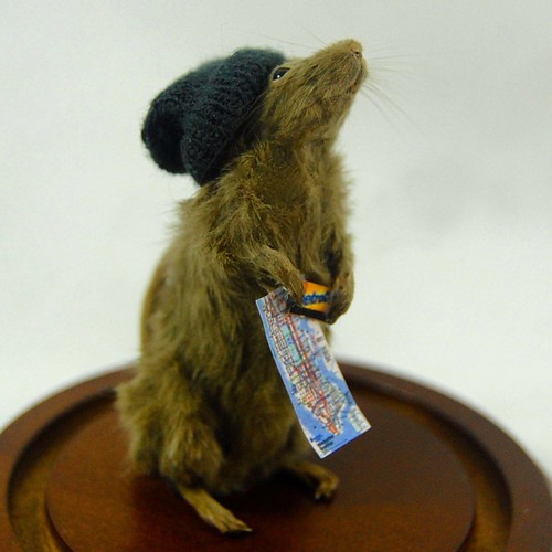 anthropomorphic taxidermy mouse lost in new york subway map metro card