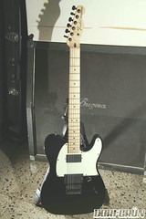 Fender Telecaster Jim Root Slipknot / Stone Sour