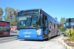Cyprus Bus & Coach Photos 2015
