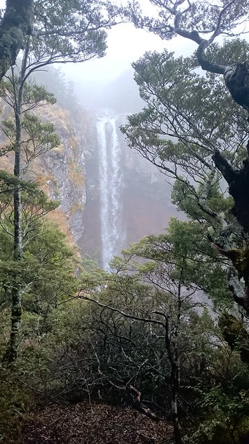 Día 9 - 8/10/15 - Tongariro National Park, Mangawhero Falls y Gravity Canyon - Nueva Zelanda, Aotearoa: El viaje de mi vida por la Tierra Media (21)