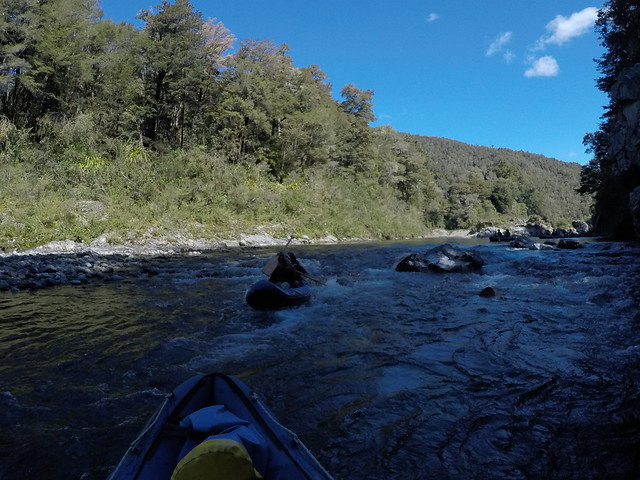 Día 13 - 12/10/15: Nelson, Ringmaker, Kayak en Pelorus River y Blenheim - Nueva Zelanda, Aotearoa: El viaje de mi vida por la Tierra Media (52)