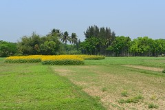 Rural Bengal