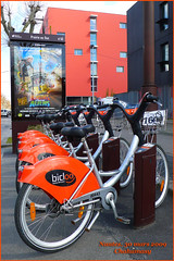 vélos urbains urban cycles