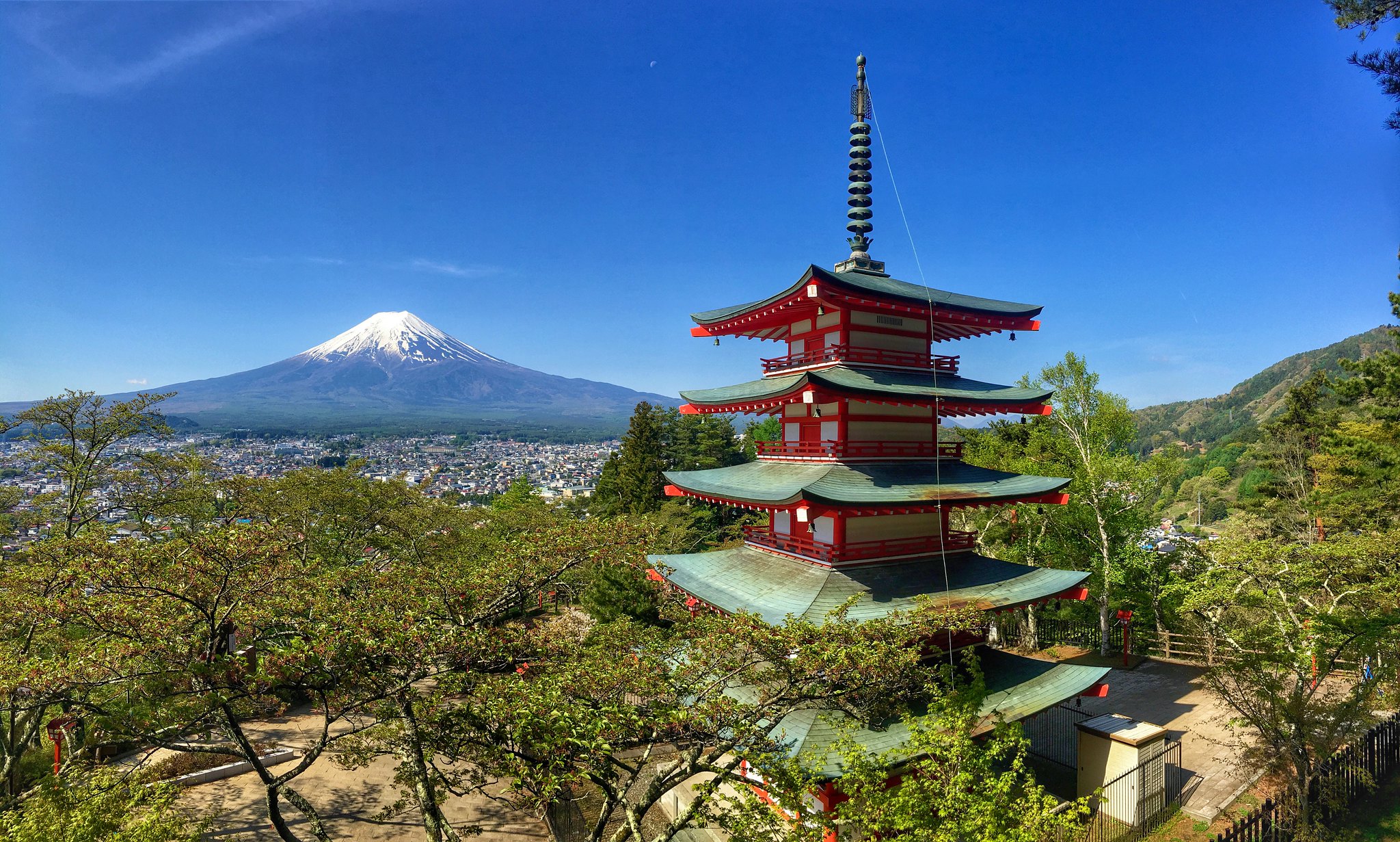 Mount Fuji & Shibazakura