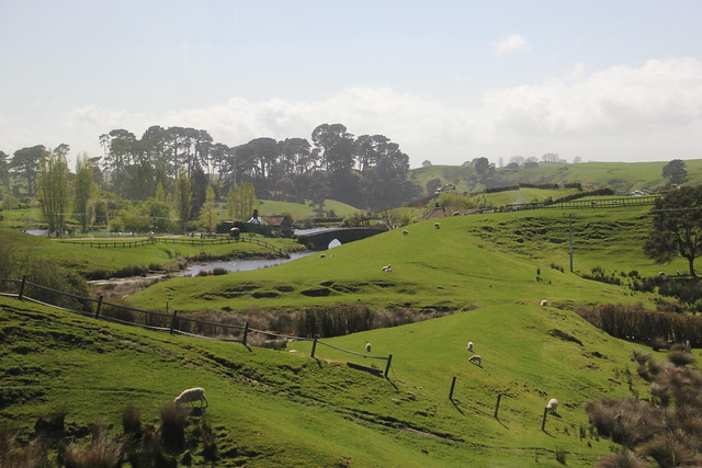 Nueva Zelanda, Aotearoa: El viaje de mi vida por la Tierra Media - Blogs de Nueva Zelanda - Día 7 - 6/10/15 - Hobbiton, Rotorua, Mitai Maori Village y Rainbow Springs (3)
