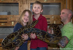 Riverside Reptiles/The New Children's Museum 