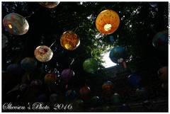 20160203D 普濟殿彩繪燈籠