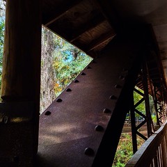 Brace yourself. #coveredbridge #monroecountyalabama #rust #trusses...
