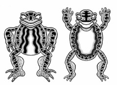 Frog Doodle 1