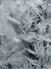 Cold Days, Warm Knitting: Knitajourney Midwinter Retreat, 2016
