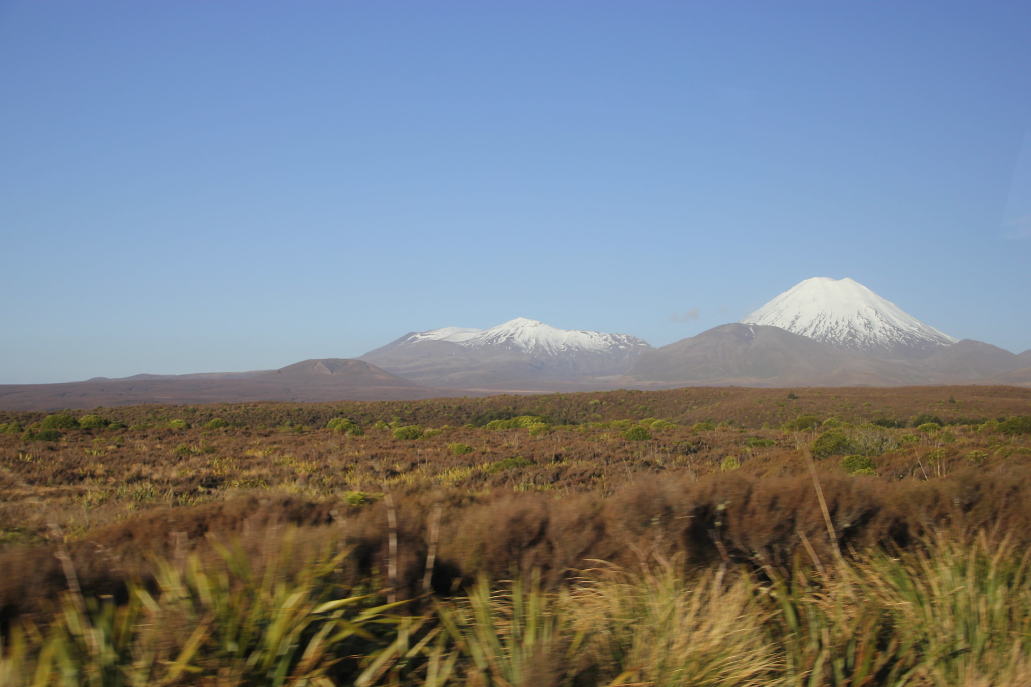 Nueva Zelanda, Aotearoa: El viaje de mi vida por la Tierra Media - Blogs de Nueva Zelanda - Día 8 - 7/10/15 - Piopio y Tongariro National Park (88)