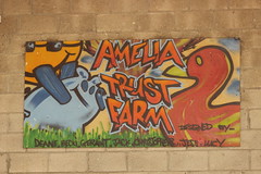 amelia trust farm