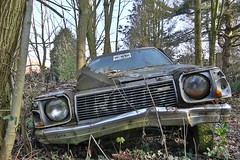 Maison Puce Abandoned Car