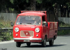 Fiat vans