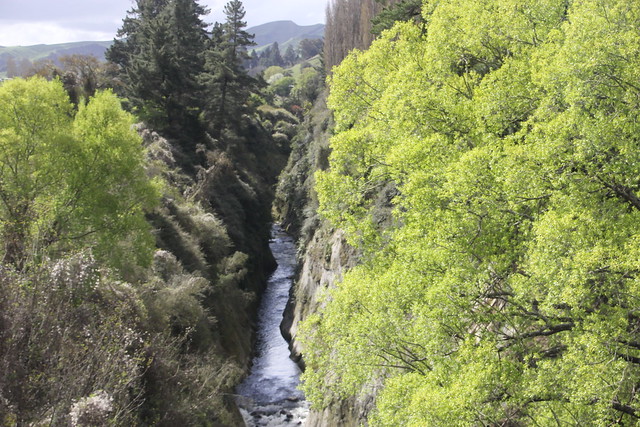 Nueva Zelanda, Aotearoa: El viaje de mi vida por la Tierra Media - Blogs de Nueva Zelanda - Día 9 - 8/10/15 - Tongariro National Park, Mangawhero Falls y Gravity Canyon (34)