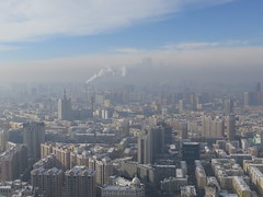 Harbin 2015