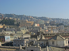 Genoa 2014