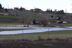 Widehollow Creek Flood, March 6, 2016