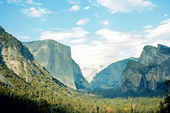 Yosemite &  Avenue of the Giants (1978)