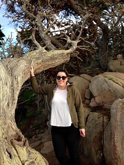 Emma in Point Lobos