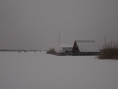 Ainus jääpäev Neusiedli järvel