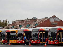 Buses in a Row