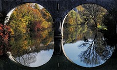 Automne à Cléron / Autumn under the bridge (25, France)