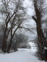 January 24, 2016 (Provo River Trail)