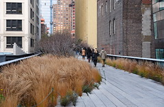High Line New Year 2016-01-01
