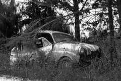 Abandonded Car, West Coast, New Zealand
