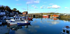 Padstow 43