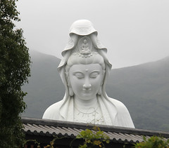 香港慈山寺 Tsz Shan Monastery 4-20-2016
