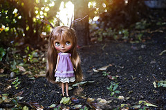Willow::Little deer girl