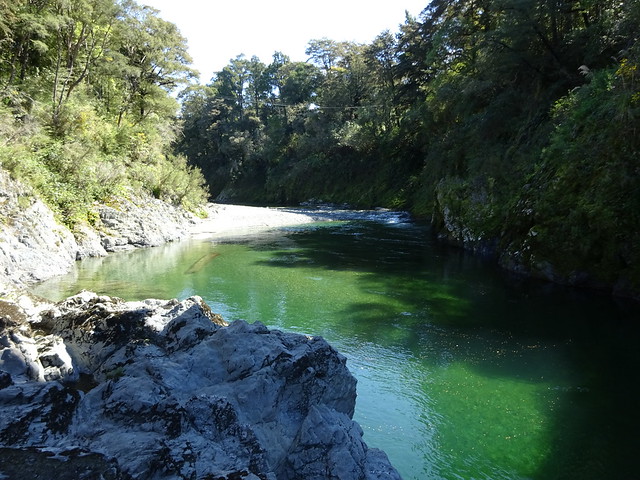 Día 13 - 12/10/15: Nelson, Ringmaker, Kayak en Pelorus River y Blenheim - Nueva Zelanda, Aotearoa: El viaje de mi vida por la Tierra Media (44)