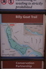 DSC01941 025 Billy Goat A Sign Mega-Cluster