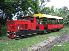 Coral Coast Railway - Fiji 2012