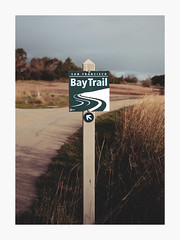 ESSAY: Trail By The Bay