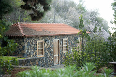 Casas, Arquitectura de La Palma