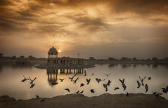 Gadisar / Gadsisar Lake - Jaisalmer - Rajasthan
